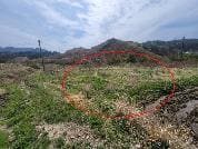 충청남도 보령시 청라면 향천리 84