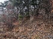 충청남도 서산시 대산읍 독곶리 17-27