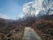 충청남도 홍성군 광천읍 가정리 산 85