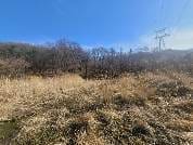 경기도 안성시 고삼면 쌍지리 180