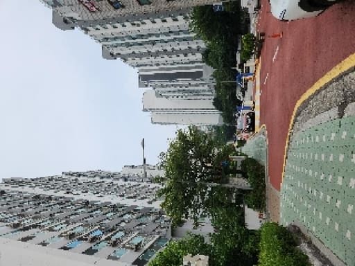 중구 신당동