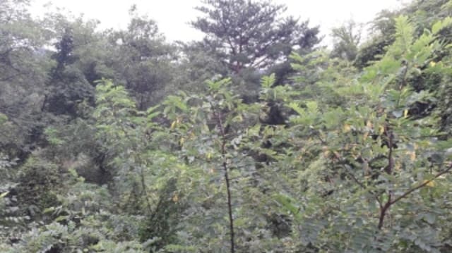 B000210202001301078044.jpg