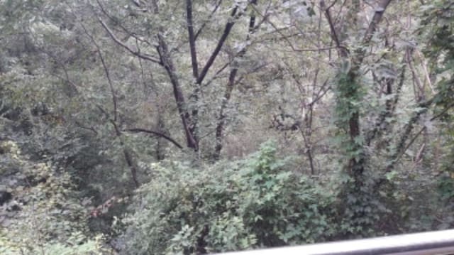 B000210202001301078043.jpg