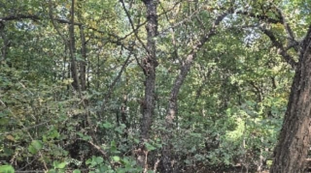 B000210202401301197131.jpg