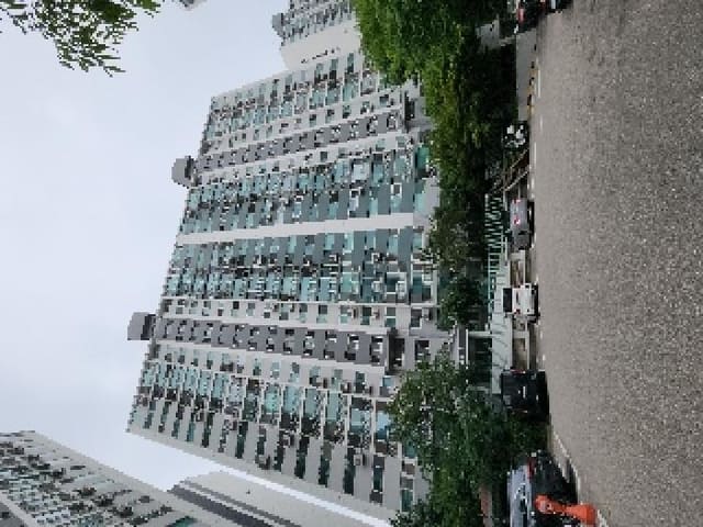 B000210202501300018571.jpg