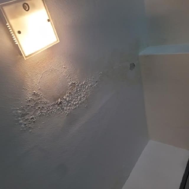 B000210202501301023934.jpg
