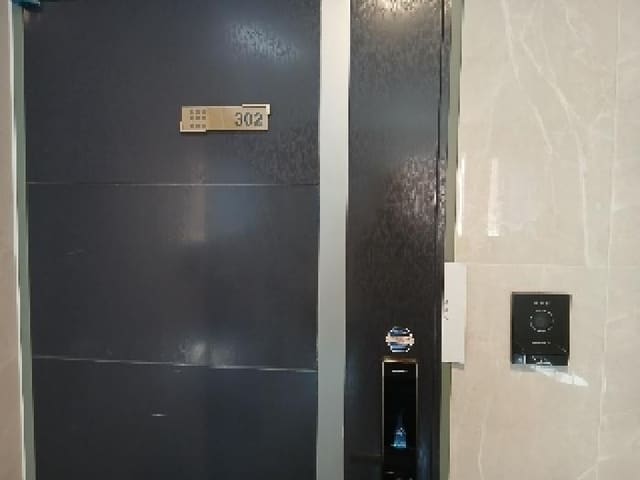 B000210202501301026862.jpg