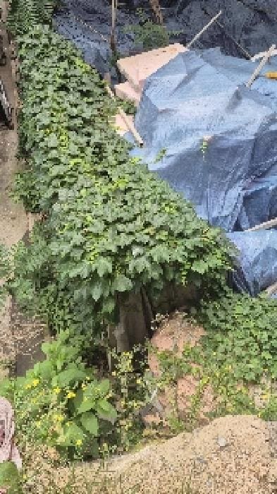 B000210202501301027962.jpg