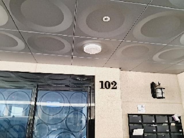 B000210202501301035511.jpg