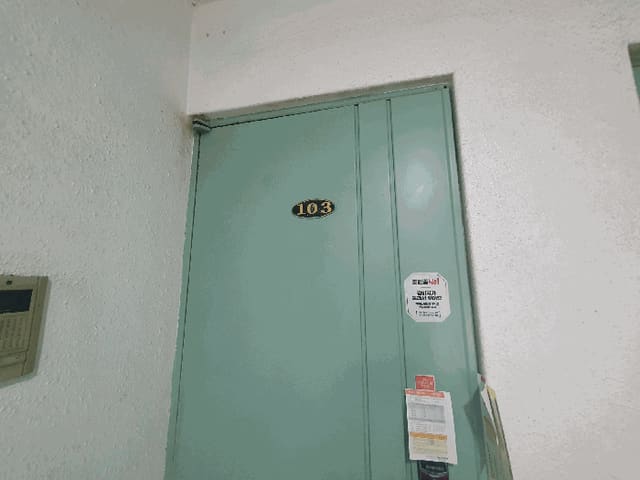 B000210202501301036164.jpg