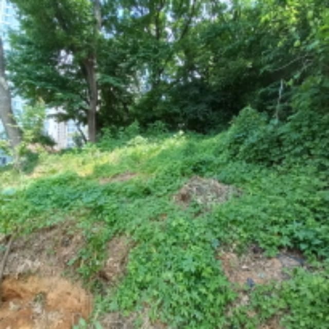 B000211202401300561504.jpg