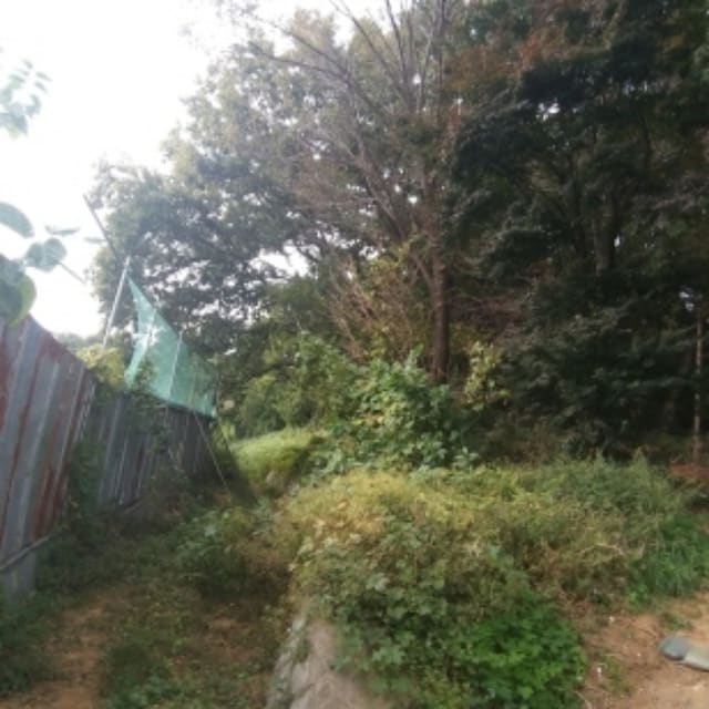 B000212202401300046261.jpg