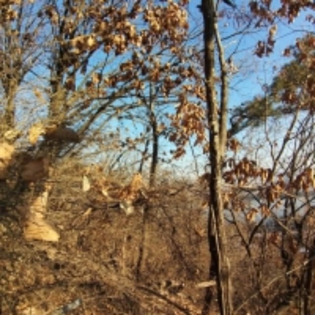B000212202401300054764.jpg