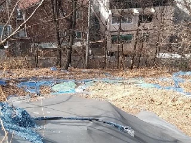 B000212202501300090011.jpg