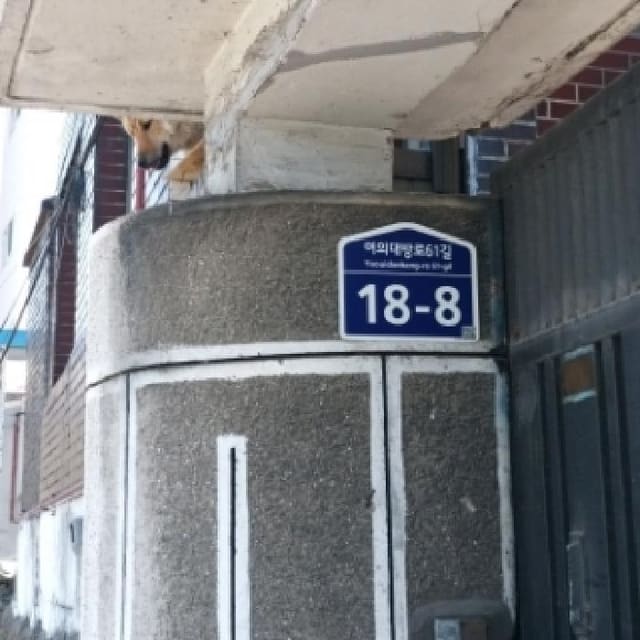 B000212202501300099081.jpg