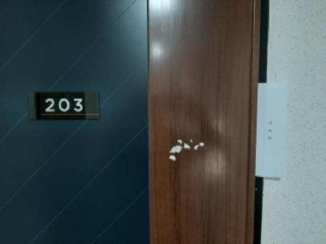 B000212202501300123382.jpg