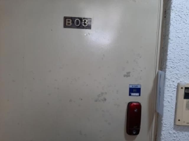 B000212202501300128212.jpg