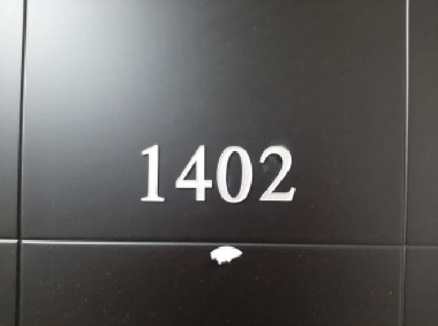 B000212202501300133993.jpg