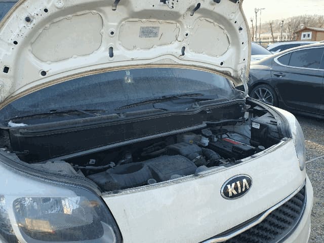B000212202501300138294.jpg