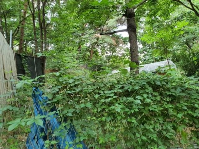 B000213202201301052141.jpg