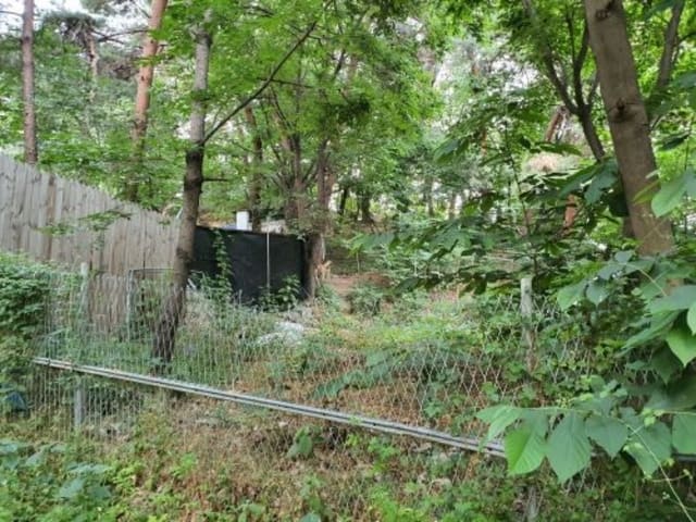 B000213202201301052142.jpg