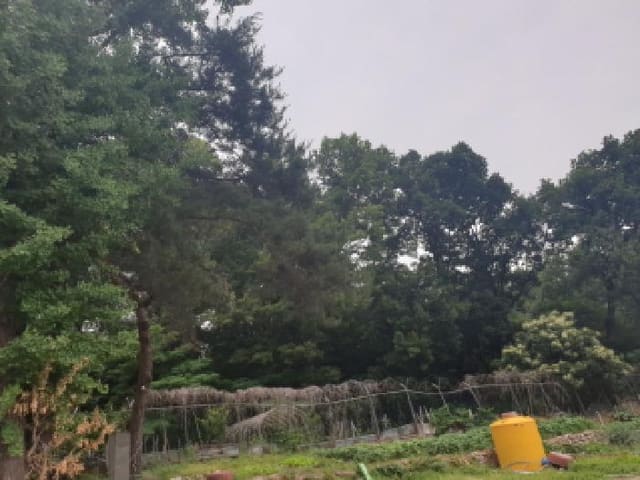 B000213202501300017333.jpg