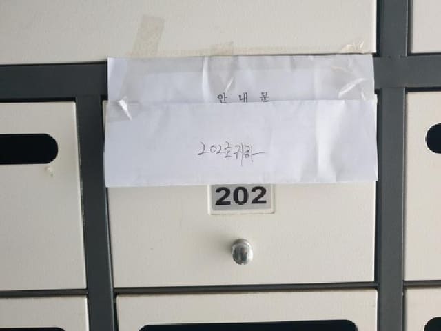 B000213202501300118141.jpg