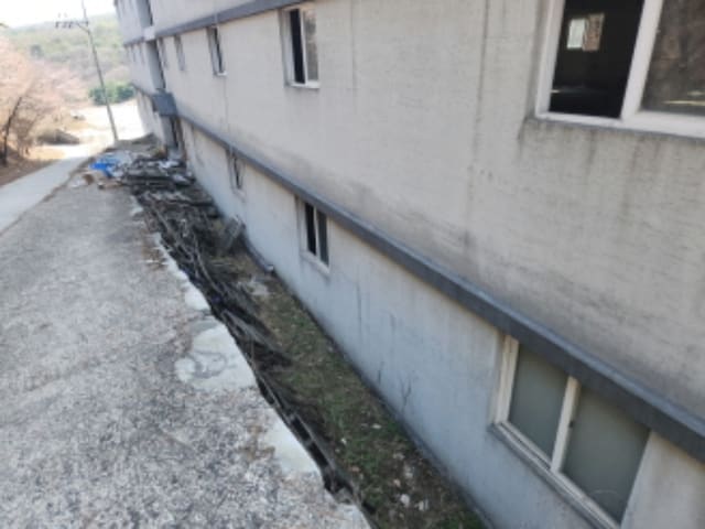 B000214202401300744472.jpg