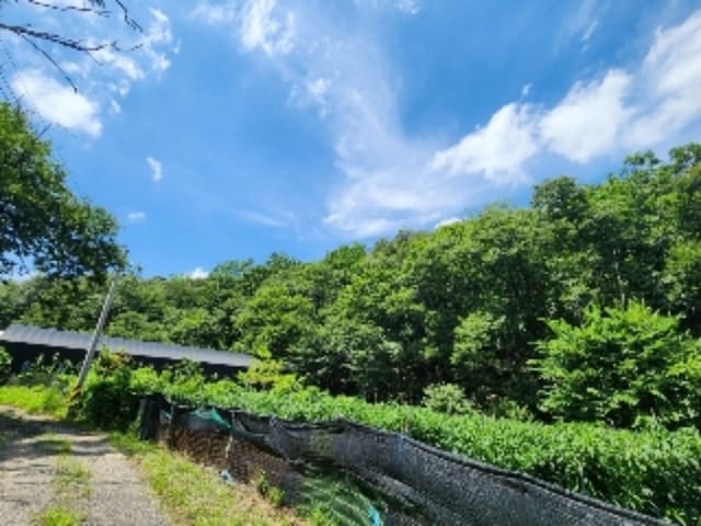 B000214202401300818033.jpg