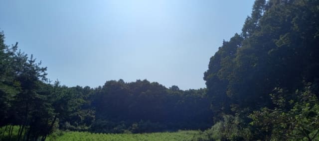 B000214202401300826084.jpg