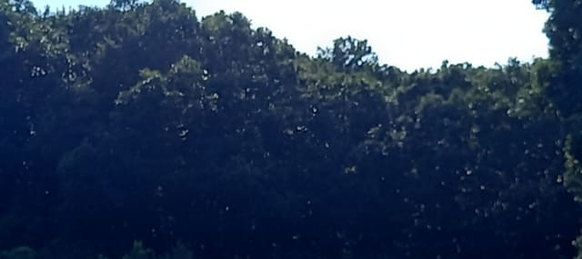 B000214202401300826083.jpg