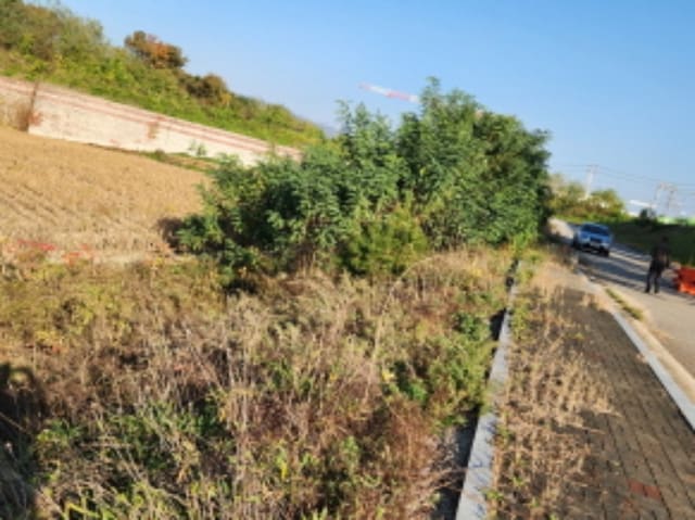 B000214202401300880572.jpg
