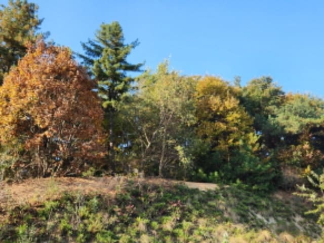 B000214202401300880573.jpg