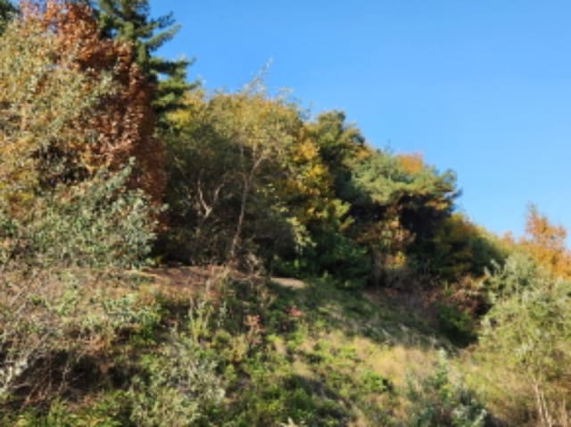 B000214202401300880574.jpg