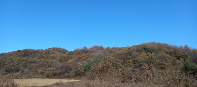 B000214202401300881632.jpg