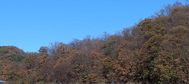 B000214202401300881634.jpg