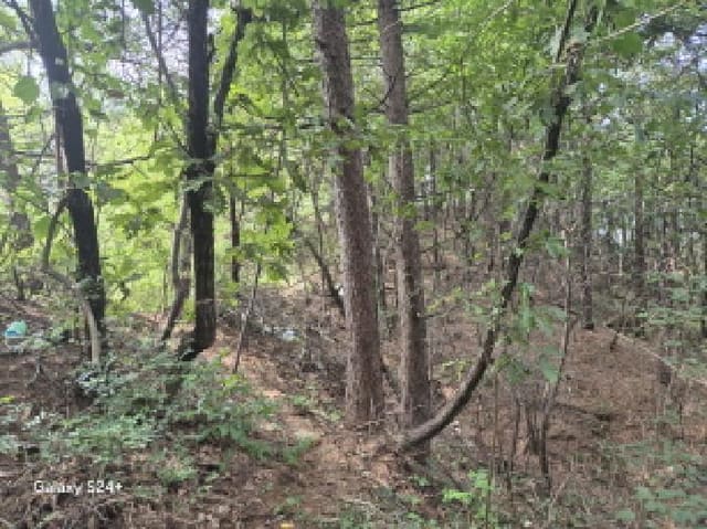 B000214202501300033982.jpg