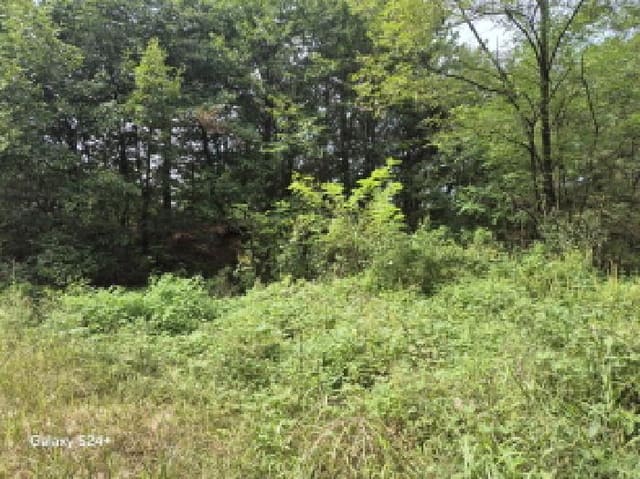 B000214202501300033981.jpg