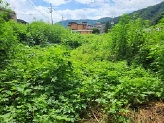 B000214202501300034733.jpg