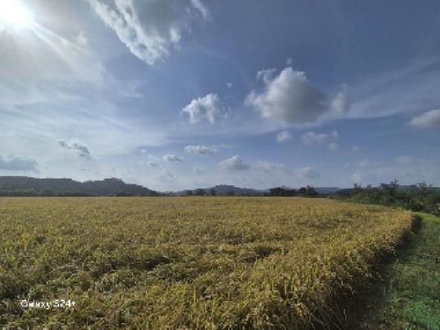 B000214202501300039853.jpg
