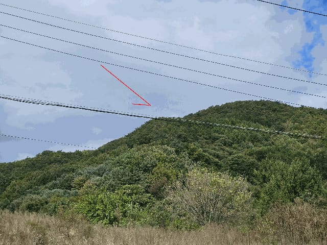 B000214202501300046674.jpg