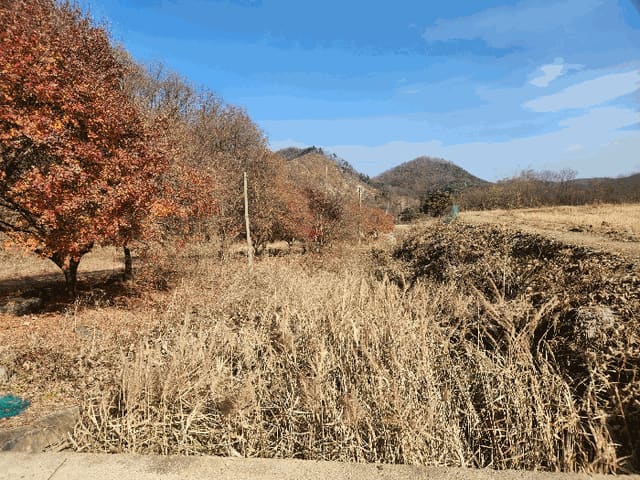 B0002142025013000509715.jpg