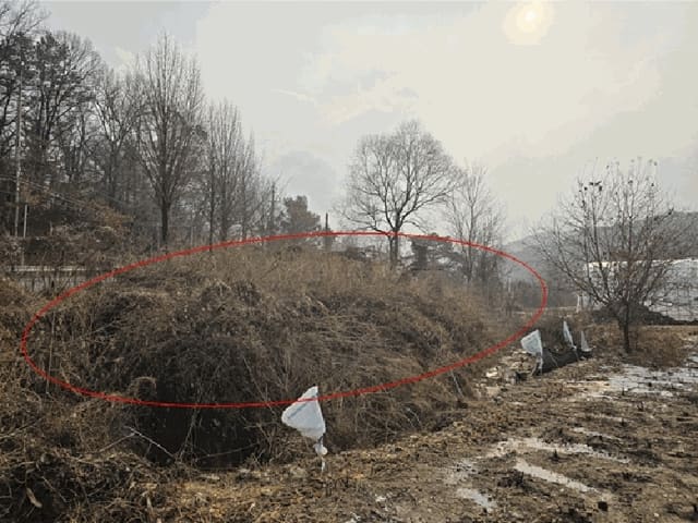 B000214202501300055784.jpg