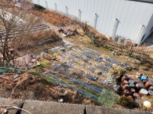 B000214202501300058511.jpg