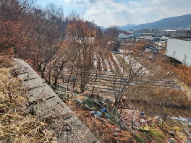 B000214202501300058512.jpg