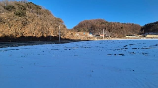 B000214202501300063733.jpg