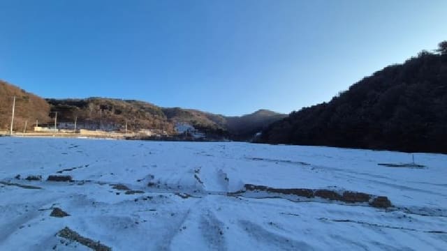 B000214202501300063731.jpg