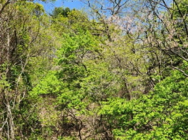 B000214202501300721484.jpg