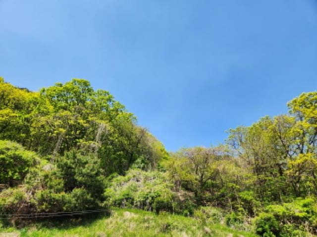 B000214202501300721482.jpg
