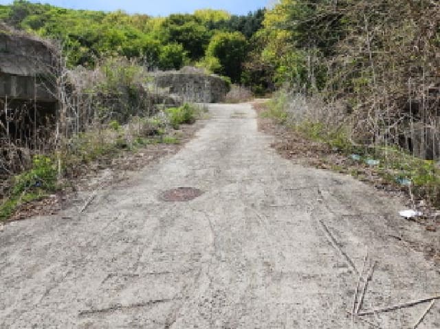 B000214202501300721681.jpg